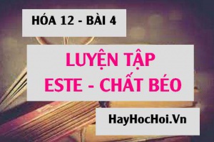 Bài tập luyện tập Este và Chất béo - Hóa 12 bài 4